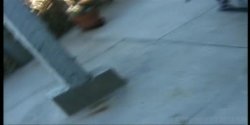 Captura de 'Shane's World 21 - Cliffhanger' nº 66