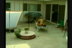 Captura de 'White Panty Chronicles 5' nº 60