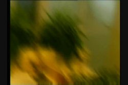 Captura de 'White Panty Chronicles 5' nº 80