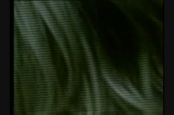 Captura de 'White Panty Chronicles 5' nº 85