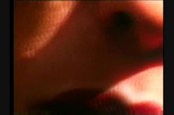 Captura de 'White Panty Chronicles 5' nº 97