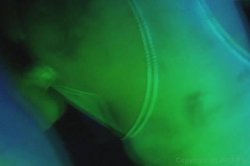 'Porn Stars...Ultimate Sex Partners' screenshot nº 68