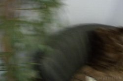 'Fucking Me POV 2' screenshot nº 17