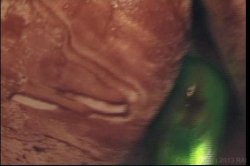 'Ready To Drop 30' screenshot nº 129