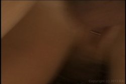 Captura de 'Fuck Em All' nº 101