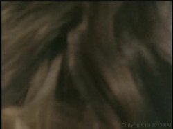 'White Wedding' screenshot nº 121