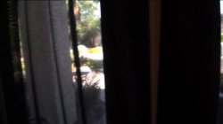 Captura de 'See My Sex Tapes 2' nº 1