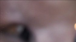 Captura de 'See My Sex Tapes 2' nº 113