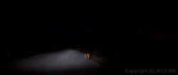 'Black Street Hookers 96' screenshot nº 2
