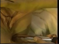 'Butt Sluts 7' screenshot nº 28