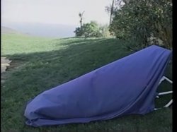 'Butt Sluts 7' screenshot nº 70