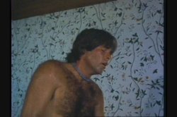 'Ginger's Hawaiian Scrapbook' screenshot nº 34