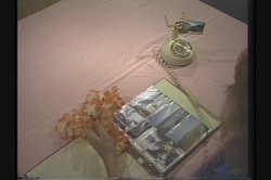 'Ginger's Hawaiian Scrapbook' screenshot nº 66