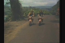 'Ginger's Hawaiian Scrapbook' screenshot nº 94