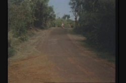 'Ginger's Hawaiian Scrapbook' screenshot nº 96