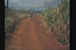 'Ginger's Hawaiian Scrapbook' screenshot nº 97