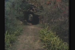 'Ginger's Hawaiian Scrapbook' screenshot nº 98