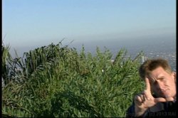 'One Way Ticket' screenshot nº 100
