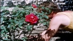 'Afternoon Tease' screenshot nº 44