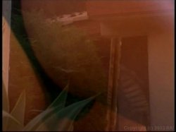 Captura de 'Babes Illustrated 10' nº 135