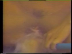 'Filthy Fuckers Vol.110: Pussylicks' screenshot nº 31