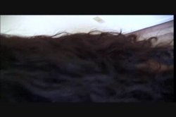 'Oriental Obsessions' screenshot nº 38