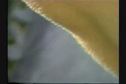'Breast Collection Vol. 4' screenshot nº 50