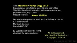 'Bachelor Party Orgy 2' screenshot nº 1