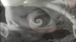 Captura de 'Super Marino's Roadtrips Anal Away Days 6 - Northampton' nº 26