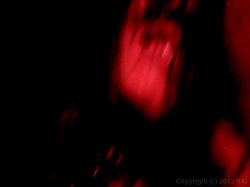 Captura de 'Fuck the World' nº 1