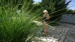 Captura de 'Grandma's Bush 9' nº 35