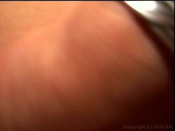 Captura de 'Tom Sizemore Sex Scandal' nº 87