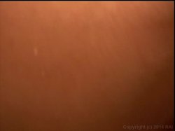 Captura de 'Tom Sizemore Sex Scandal' nº 90