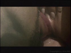 Captura de 'Addicted to Niko' nº 48
