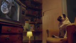 Captura de 'Italian Slut Silvia Soprano Gets Fucked Hard, Covered in Cum, and Begs for More' nº 1