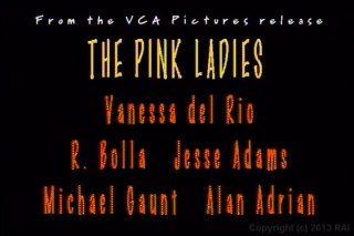 Strokin&#39; To The Oldies: Vanessa Del Rio - Scène6 - 1
