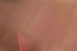 Captura de 'Black Kong Dong 2' nº 44