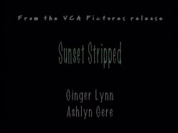 'Strokin' To The Oldies: Ginger Lynn' screenshot nº 18