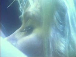 'Strokin' To The Oldies: Ginger Lynn' screenshot nº 94