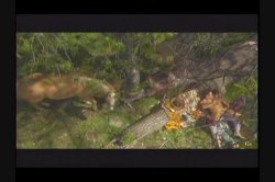 'Barnyard Babes 2' screenshot nº 13