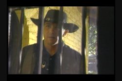 'Barnyard Babes 2' screenshot nº 136