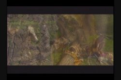 'Barnyard Babes 2' screenshot nº 14