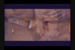 'Barnyard Babes 2' screenshot nº 71