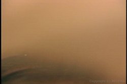 'Legs Benedict' screenshot nº 120