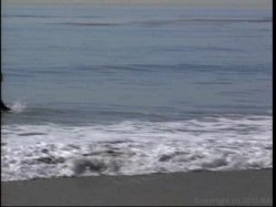 'Black Beach Patrol 11' screenshot nº 3