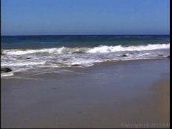 'Black Beach Patrol 11' screenshot nº 4