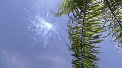 'Spring Break Fuck Parties Volume Seven' screenshot nº 15