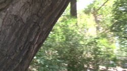 'Newbie Takes Spunk Up Her Ass' screenshot nº 3