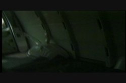 'Latina Cantina, The' screenshot nº 48