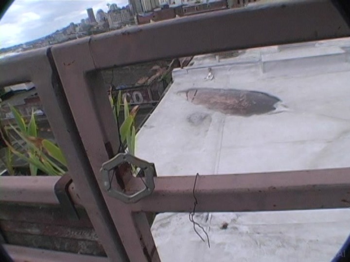 Big Melon Beauty Masturbates Alone